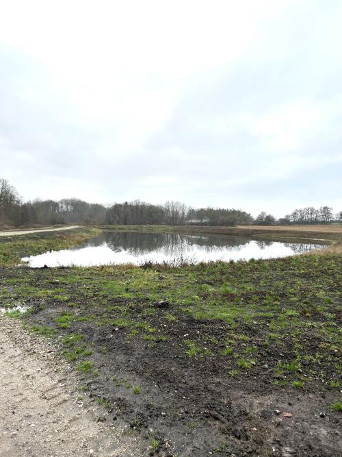 Foto Regnvandsbassin